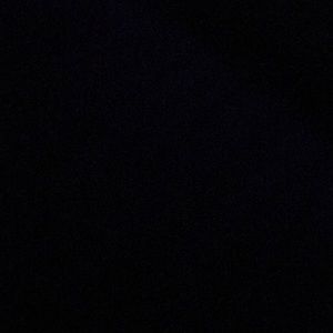 Meet your Posher, Shawn